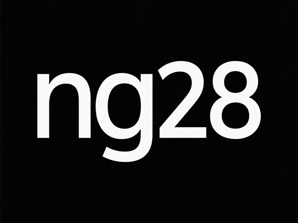 首先，“ng28”可能是某种缩写或特定领域的术语。